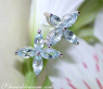 Graceful Aquamarine Blossom Style Stud Earrings
