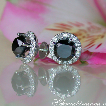Precious Black Diamond Solitaire Stud Earrings