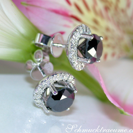 Precious Black Diamond Solitaire Stud Earrings