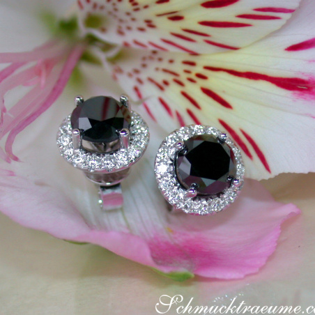Precious Black Diamond Solitaire Stud Earrings