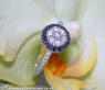 Timelessly Elegant Black Diamond Ring