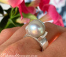Massiver Südseeperle Ring in Weißgold 585 | SCHMUCKTRÄUME.COM