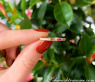 Wandelbarer Brillanten Memory Ring mit Multicolor Saphiren