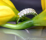 Timeless Diamond Ring with Baguette Diamonds in White gold 18k