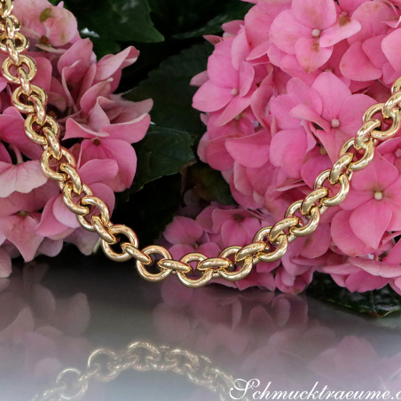 Glieder Kette / Collier in Gelbgold 585