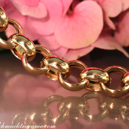 Breite Erbs Kette / Collier in Gelbgold 585