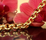 Gold Pur: Stattliches Erbs Armband in Gelbgold 585