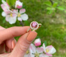 Femininer Rosa Malaya Granat Ring mit Brillanten