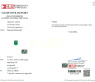 High Jewelry: Einzigartiger kolumbianischer Smaragd Ring  (Muzo Green, Minor Oil)