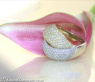 Top-class Diamond Ring in White & Yellow Gold
