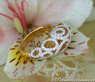 Brillant Ring in Gelbgold 750
