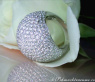 High-end Diamond Dome Ring