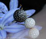 Pave Ball Ring with Black & White Diamonds