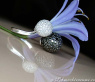 Pave Ball Ring with Black & White Diamonds