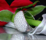 Magnificent Diamond Pavé Ring