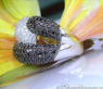 Voluminous Black & White Diamond Ring