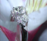 Precious Diamond Solitaire Ring (1 ct.)