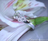 Precious Diamond Solitaire Ring (1 ct.)