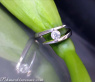 Timeless Diamond Solitaire Ring in White gold 18k