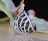 Interesting black and white diamond ring in white gold 18k