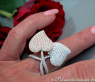 Exquisite Double Heart Diamond Ring in White & Rose Gold 18k