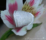 Top-class Diamond Ring (5,65 ct.)