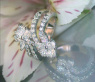Elegant Diamond Heart Ring (1,88 ct.)