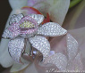 Huge Diamond Ring in a Fantastic Flower Design