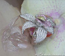Huge Diamond Ring in a Fantastic Flower Design