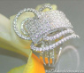 Glorious Princess Diamond Ring