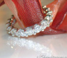 High-end Diamond Eternity Ring