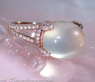 Magnificent Moonstone Ring with Diamonds