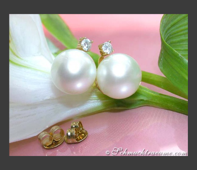 Beautiful Southsea Pearl Studs with Diamonds in Yellow Gold 14k Beautiful Southsea Pearl Studs with Diamonds in Yellow Gold 14k