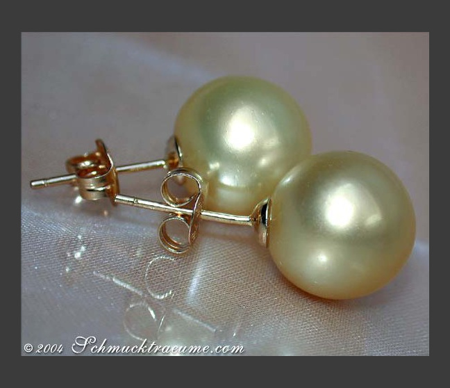 Timeless Golden Southsea Pearl Studs Timeless Golden Southsea Pearl Studs