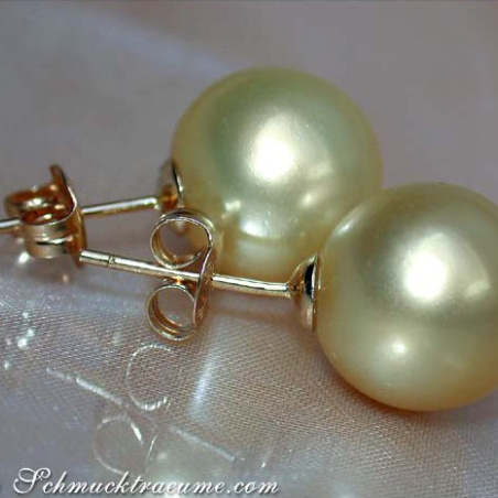 Timeless Golden Southsea Pearl Studs