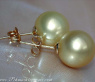 Timeless Golden Southsea Pearl Studs