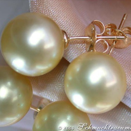 Timeless Golden Southsea Pearl Studs