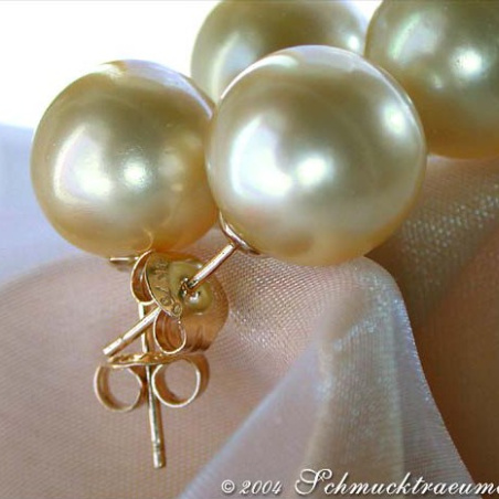 Timeless Golden Southsea Pearl Studs
