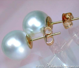 Timeless Southsea Pearl Studs