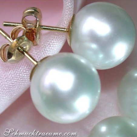 Timeless Southsea Pearl Studs