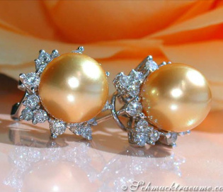 Pretty "Star" Studs with Golden Southsea Pearls & Diamonds
