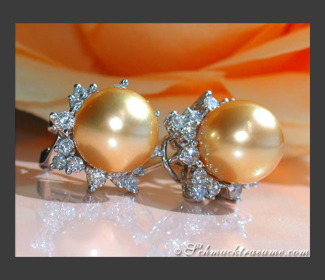 Pretty "Star" Studs with Golden Southsea Pearls & Diamonds Pretty "Star" Studs with Golden Southsea Pearls & Diamonds