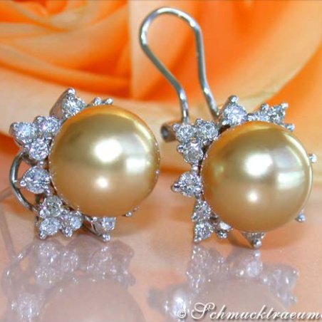 Pretty "Star" Studs with Golden Southsea Pearls & Diamonds