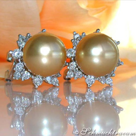 Pretty "Star" Studs with Golden Southsea Pearls & Diamonds