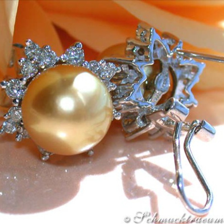Pretty "Star" Studs with Golden Southsea Pearls & Diamonds