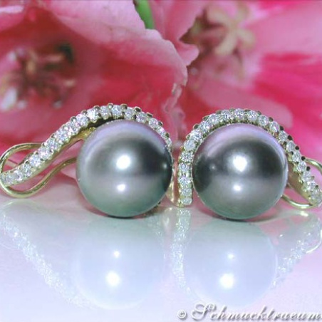 Beautiful Tahitian Pearl Earrings with Diamonds in Yellow Gold