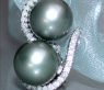 Beautiful Tahitian Pearl Earrings with Diamonds in White gold