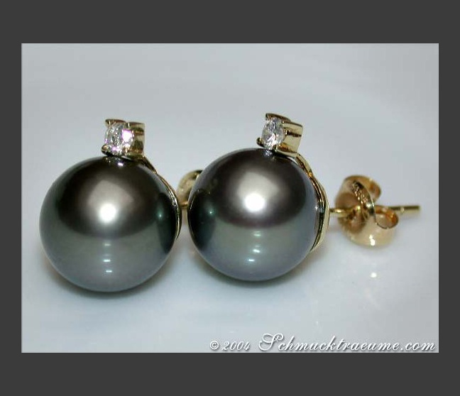 Beautiful Tahitian Pearl Studs with Diamonds in Yellow Gold 14k Beautiful Tahitian Pearl Studs with Diamonds in Yellow Gold 14k