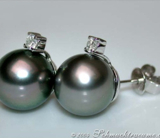 Pretty Tahitian Pearl Studs with Diamonds in White gold 14k