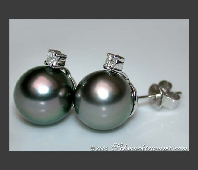 Pretty Tahitian Pearl Studs with Diamonds in White gold 14k Pretty Tahitian Pearl Studs with Diamonds in White gold 14k